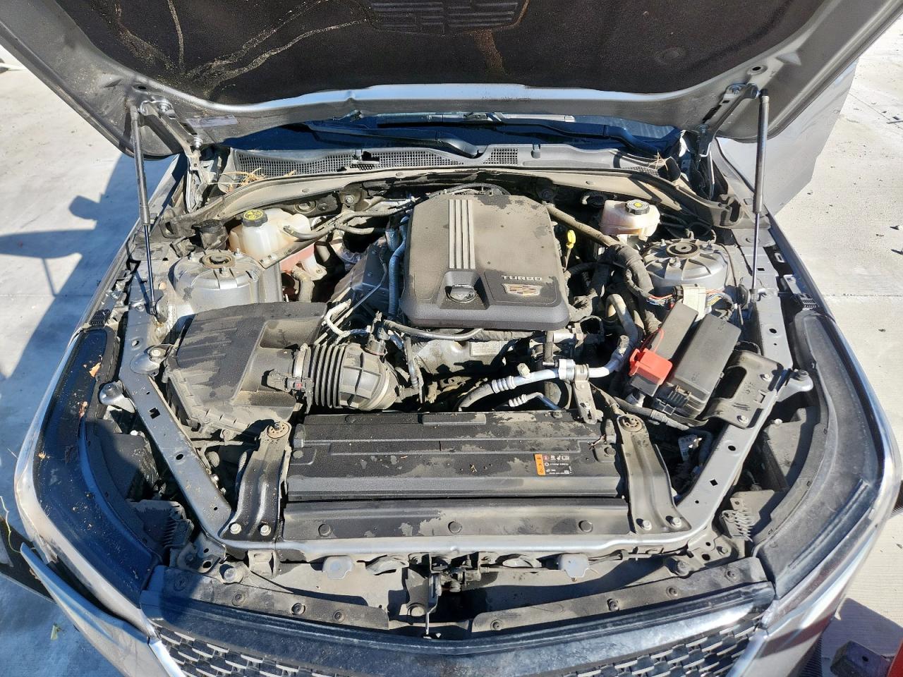 2023 Cadillac Ct4 Premium Luxury VIN: 1G6DB5RK5P0117969 Lot: 85417885