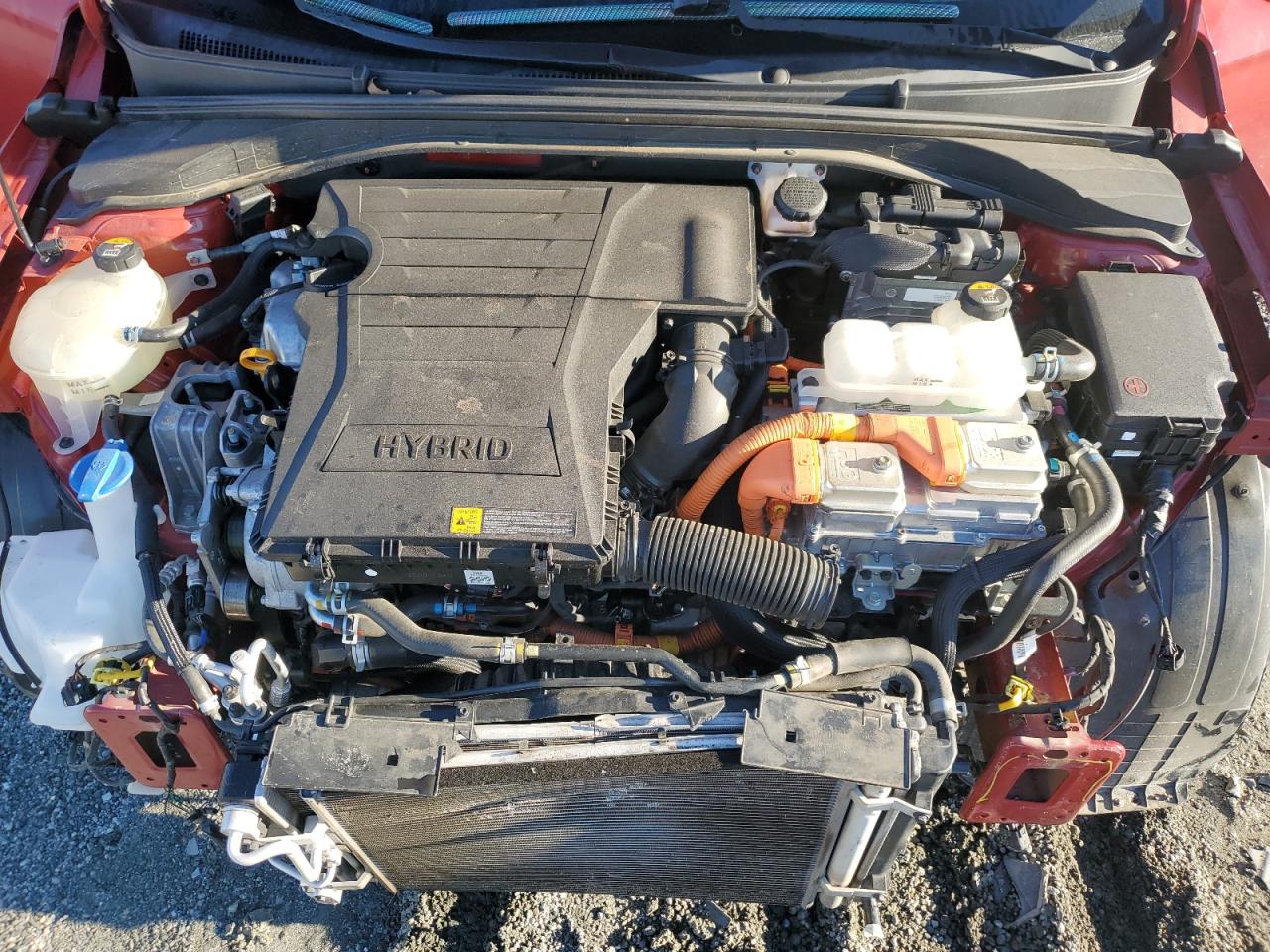 2019 Hyundai Ioniq Blue VIN: KMHC65LC9KU124516 Lot: 90467425