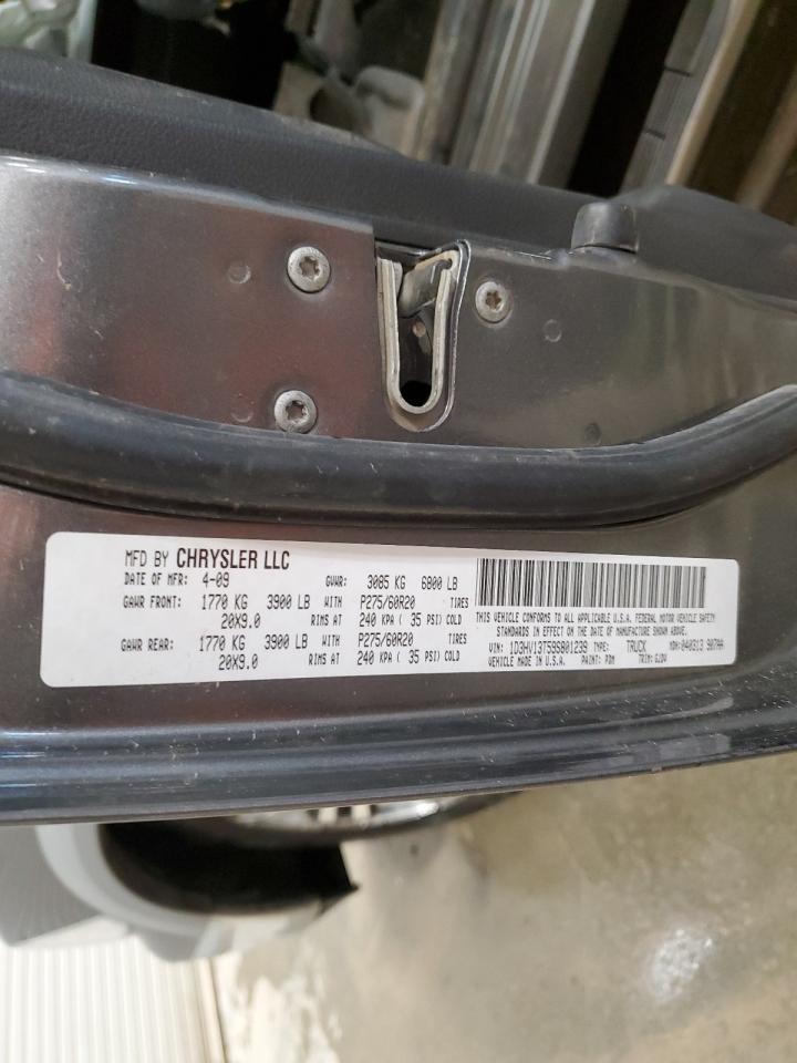 2009 Dodge Ram 1500 VIN: 1D3HV13T59S801239 Lot: 85529755