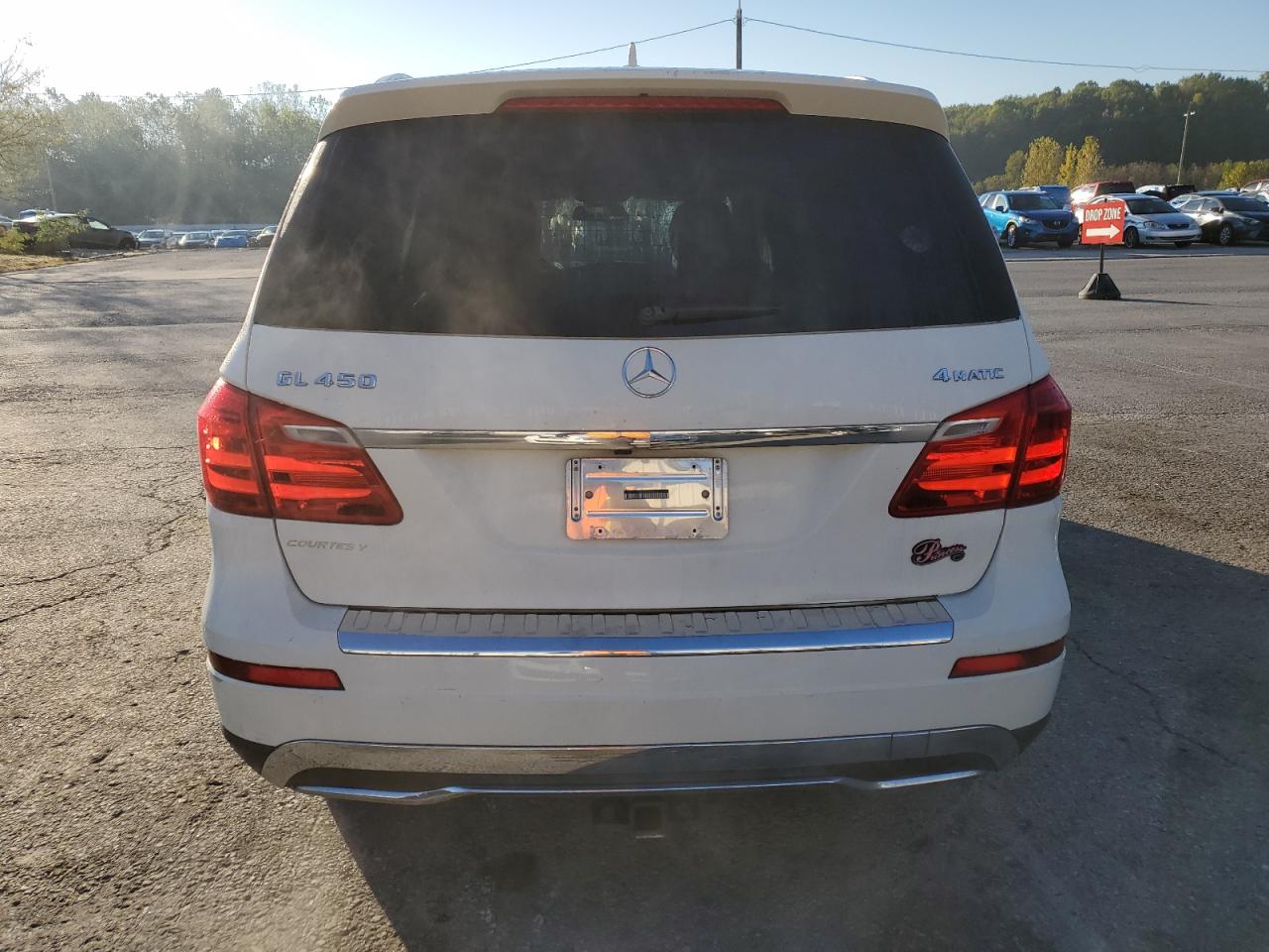 2013 Mercedes-Benz Gl 450 4Matic VIN: 4JGDF7CE1DA111071 Lot: 86274875