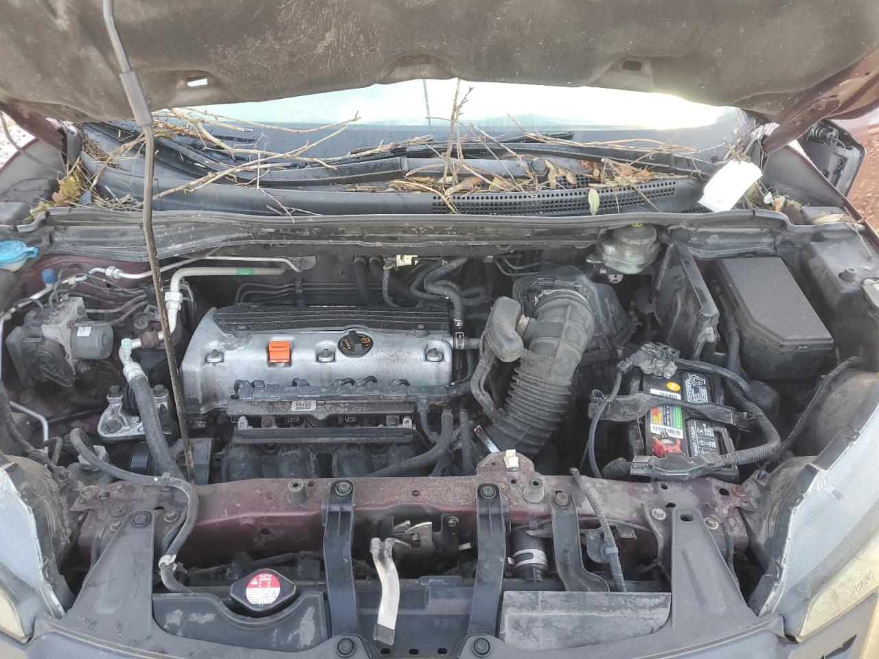 2013 Honda Cr-V Exl VIN: 5J6RM4H74DL049981 Lot: 86068315