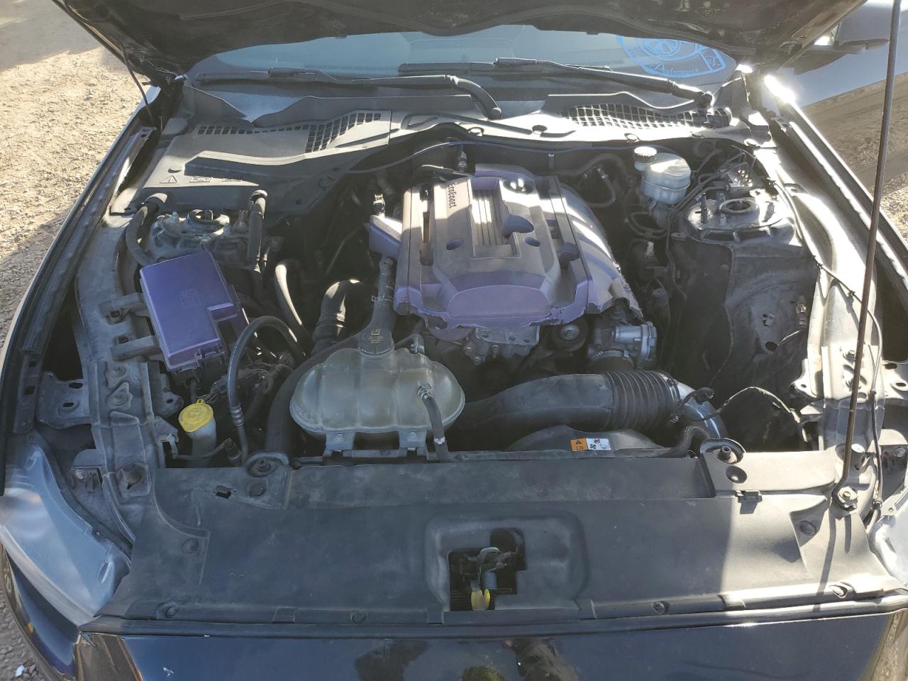 2016 Ford Mustang VIN: 1FA6P8TH4G5303372 Lot: 82618785