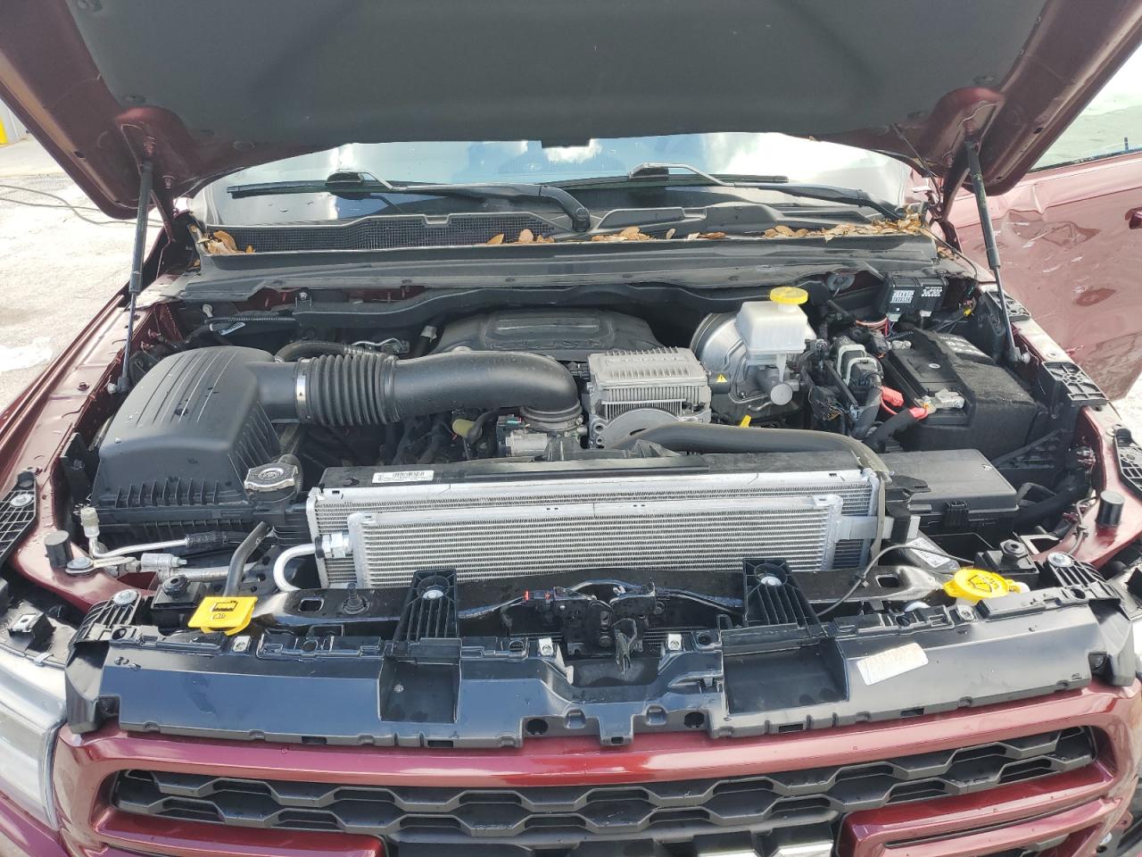 2023 Ram 1500 Big Horn/Lone Star VIN: 1C6SRFFT8PN549825 Lot: 85544625