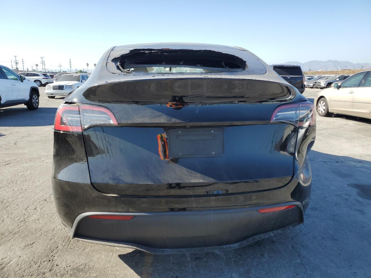 2022 Tesla Model Y VIN: 7SAYGDEE8NF351356 Lot: 85860865
