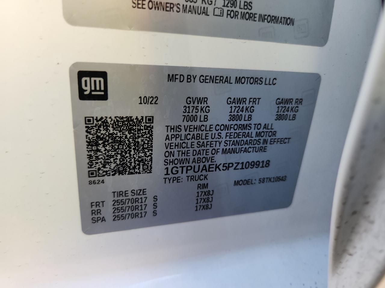 2023 GMC Sierra K1500 VIN: 1GTPUAEK5PZ109918 Lot: 91056345