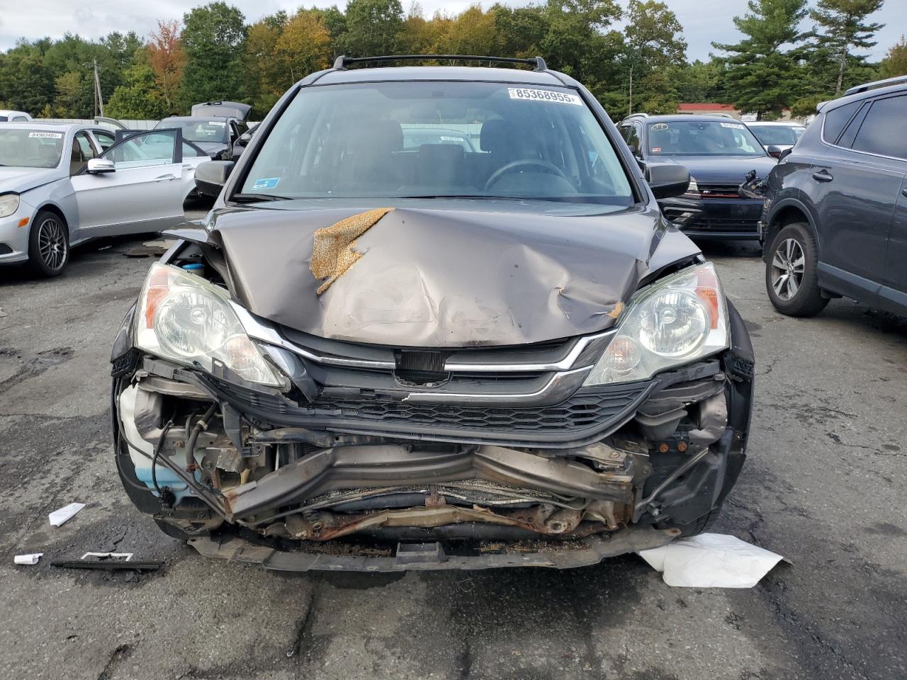 2010 Honda Cr-V Lx VIN: 5J6RE4H31AL055324 Lot: 85368955