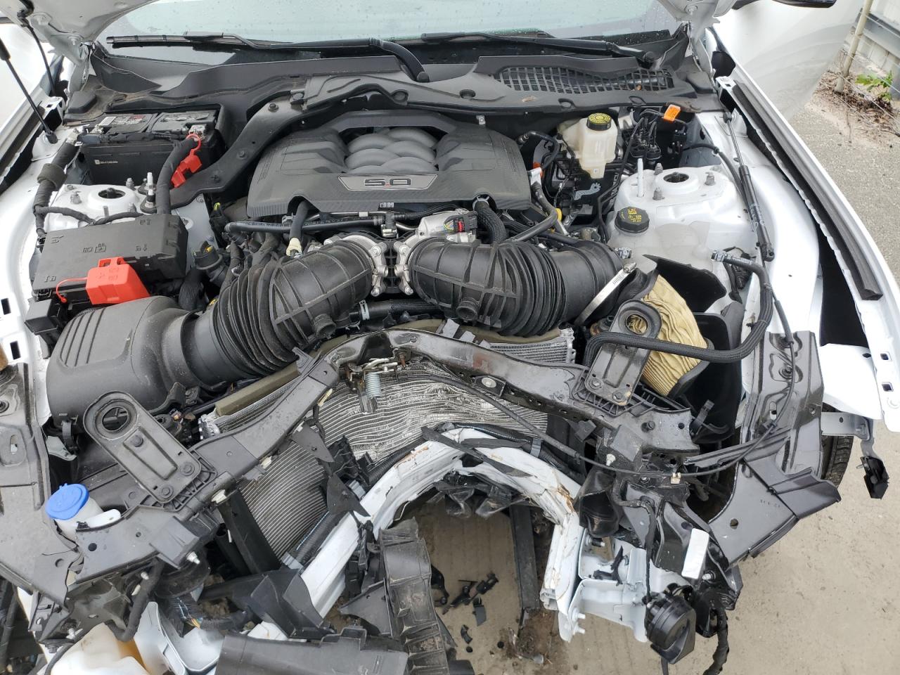 2024 Ford Mustang Gt VIN: 1FA6P8CF8R5422611 Lot: 84987245