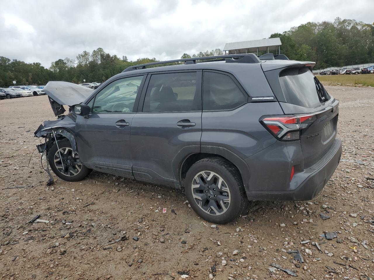 Forester Forester