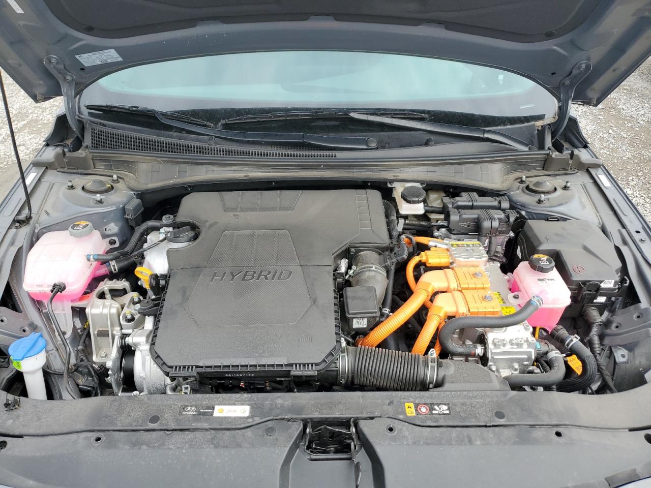 Elantra Elantra