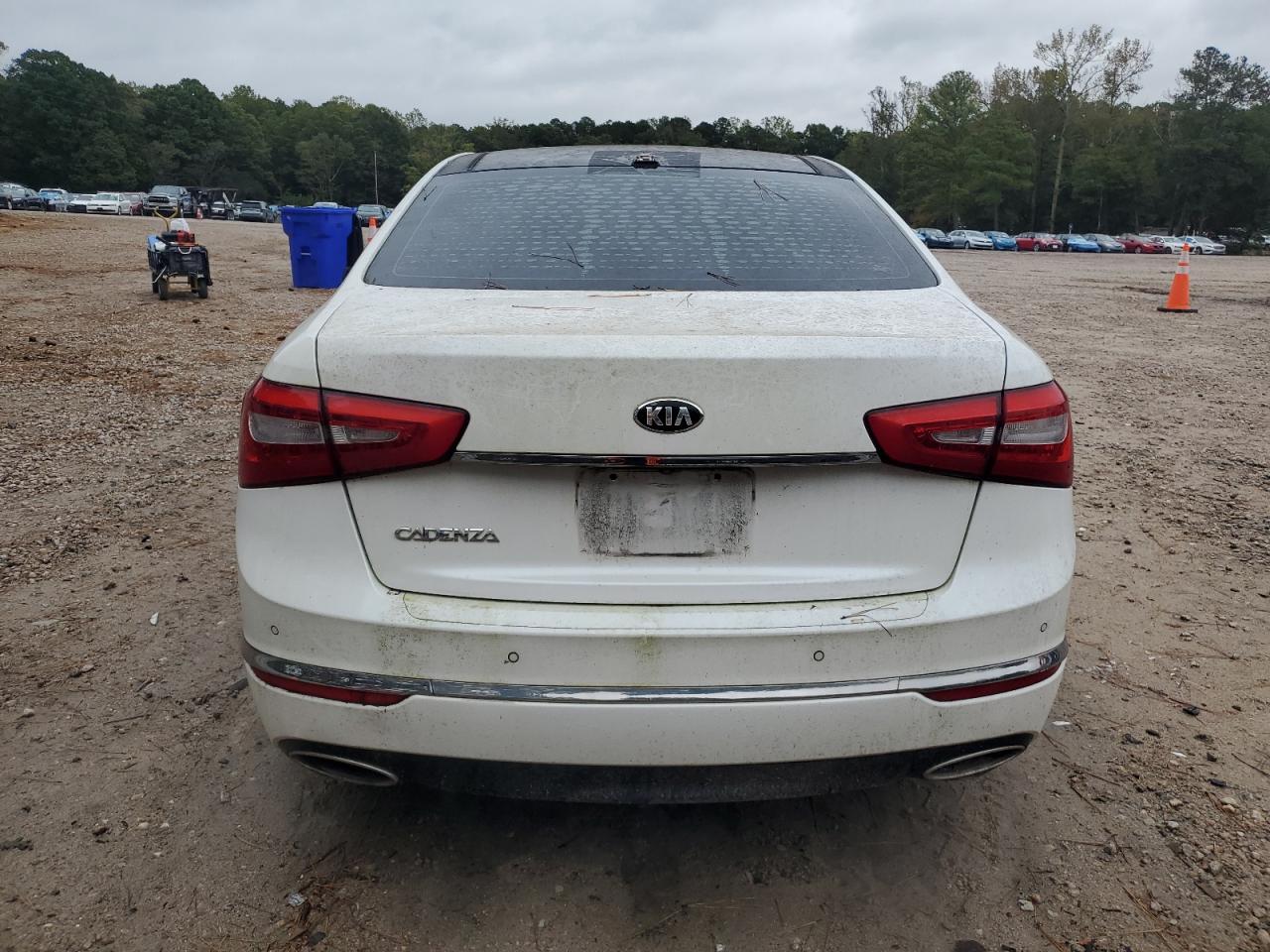 2015 Kia Cadenza Premium VIN: KNALN4D7XF5191982 Lot: 82217735