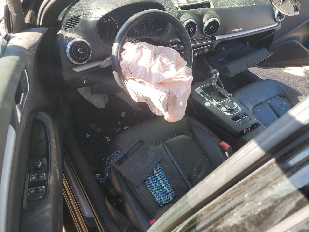 2019 Audi A3 Premium VIN: WAUBEGFF9K1018795 Lot: 86534625