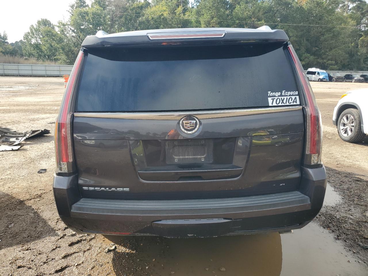 2015 Cadillac Escalade Premium VIN: 1GYS3CKJ7FR196444 Lot: 85290945