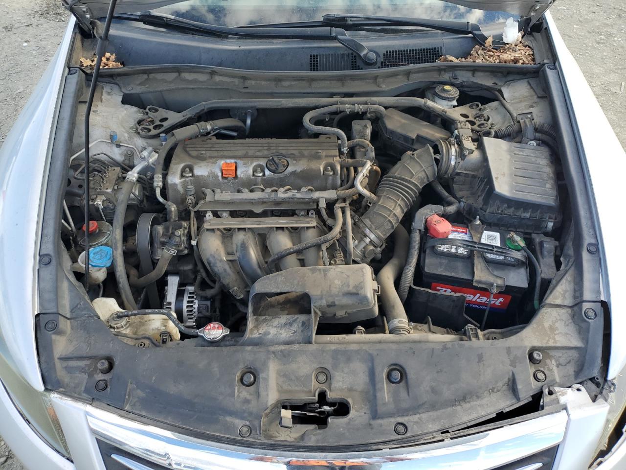 2011 Honda Accord Exl VIN: 1HGCP2F81BA031807 Lot: 81873085