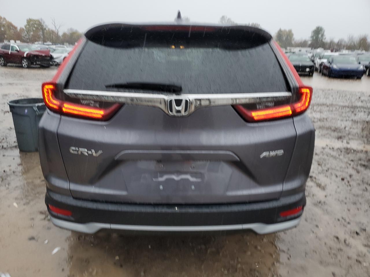 2020 Honda Cr-V Exl VIN: 5J6RW2H80LL035436 Lot: 89801815