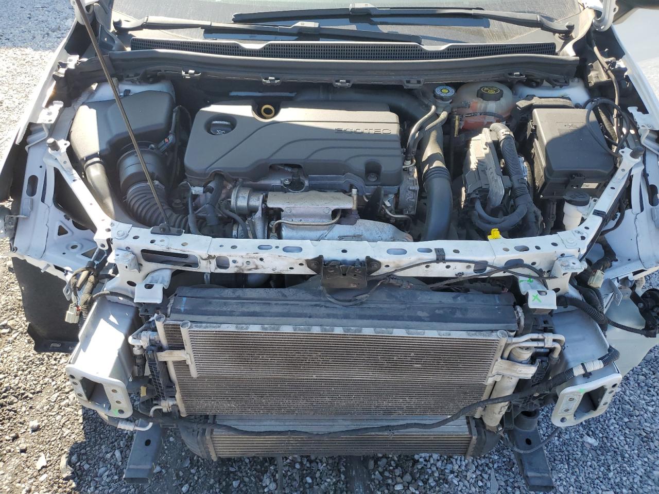 2019 Chevrolet Cruze Lt VIN: 1G1BE5SM7K7120856 Lot: 85820675