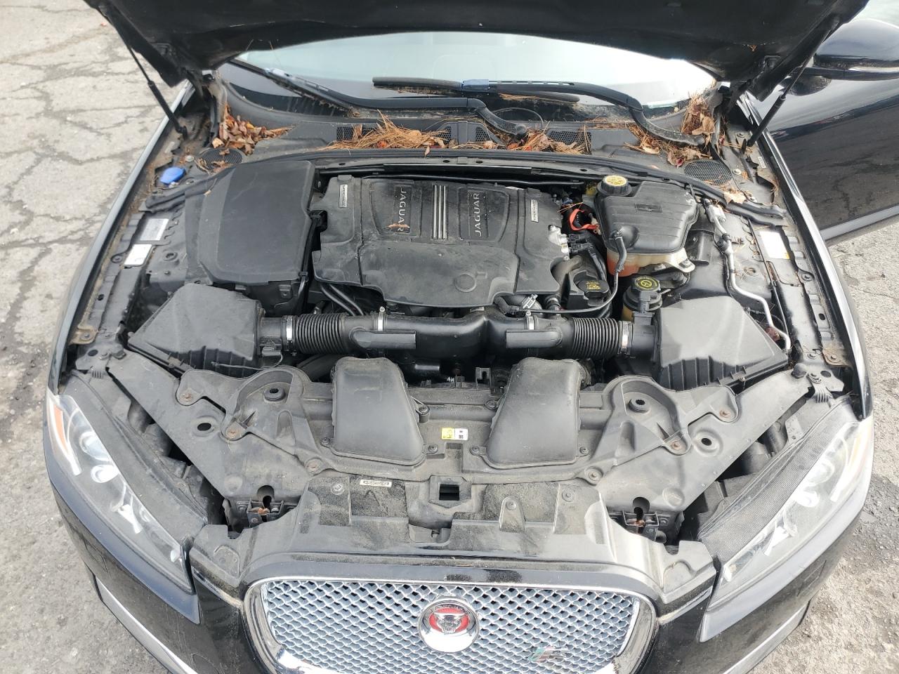 2014 Jaguar Xf VIN: SAJWJ0EF1E8U14032 Lot: 82426255