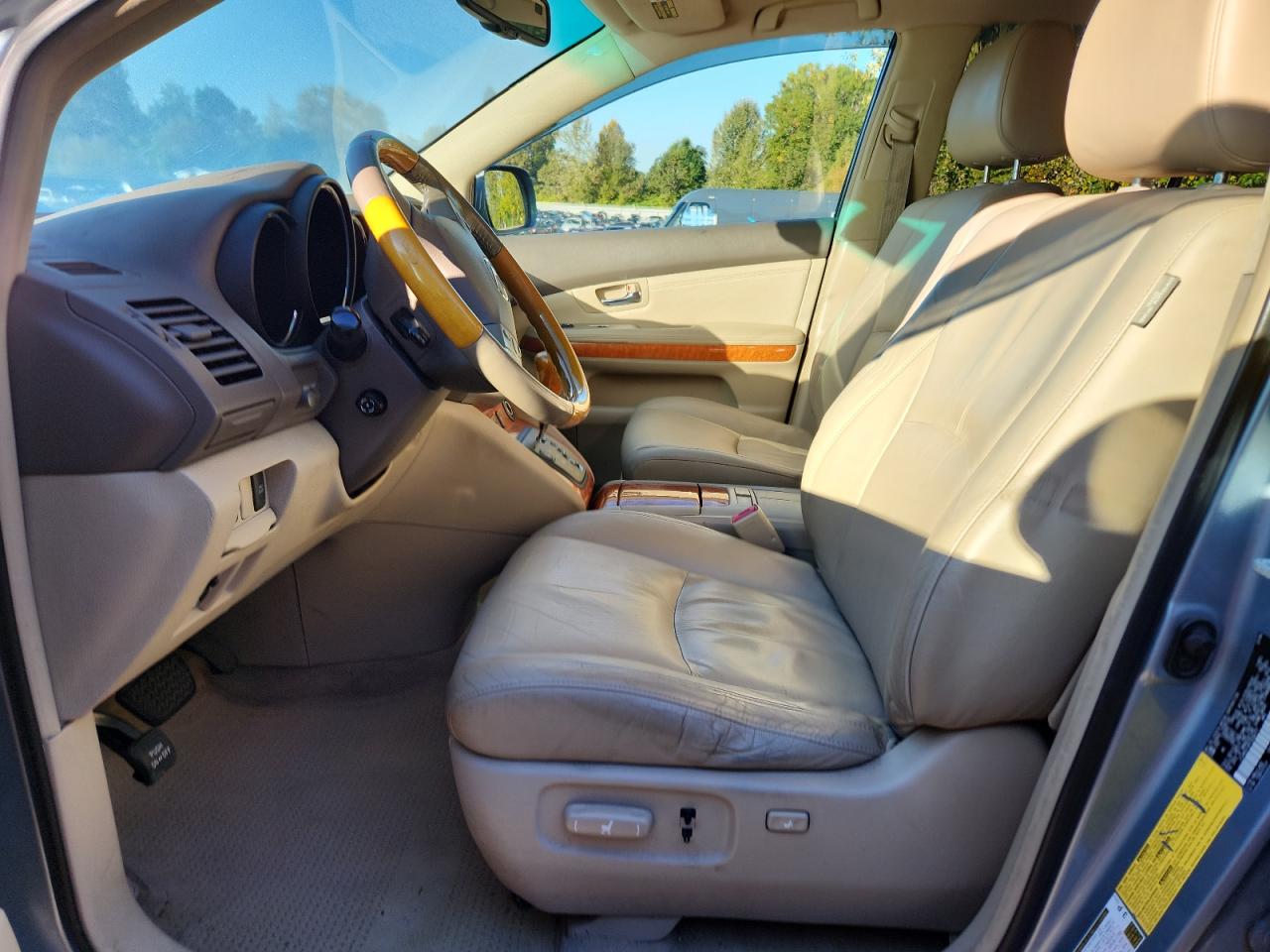 2007 Lexus Rx 350 VIN: JTJHK31U972026771 Lot: 82385955