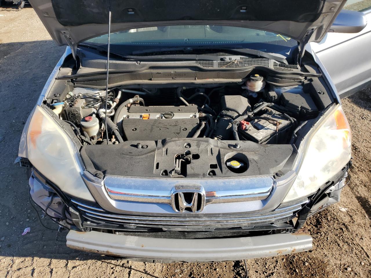 2007 Honda Cr-V Exl VIN: JHLRE487X7C123558 Lot: 85000865