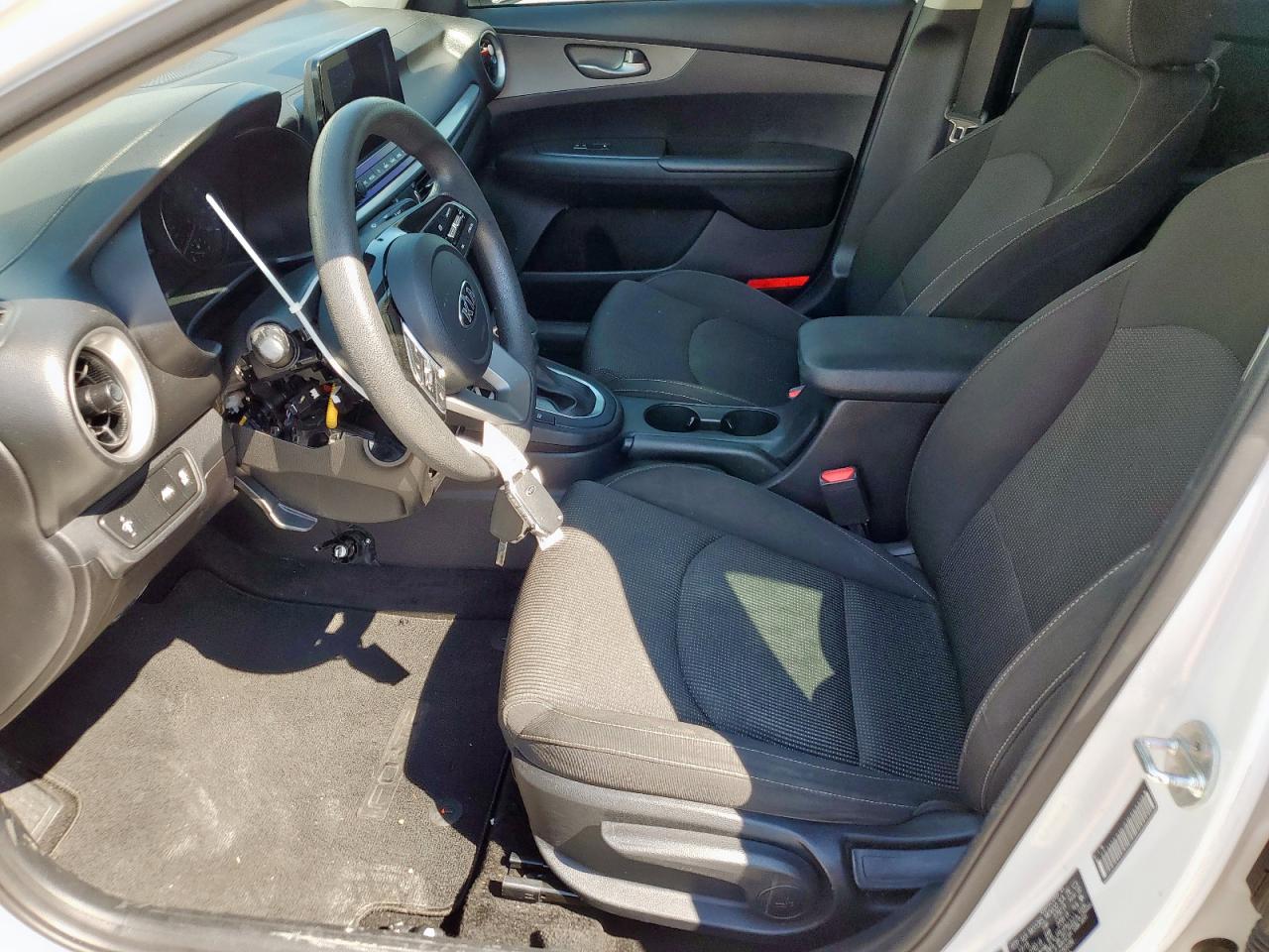 2019 Kia Forte Fe VIN: 3KPF24ADXKE069186 Lot: 85137645