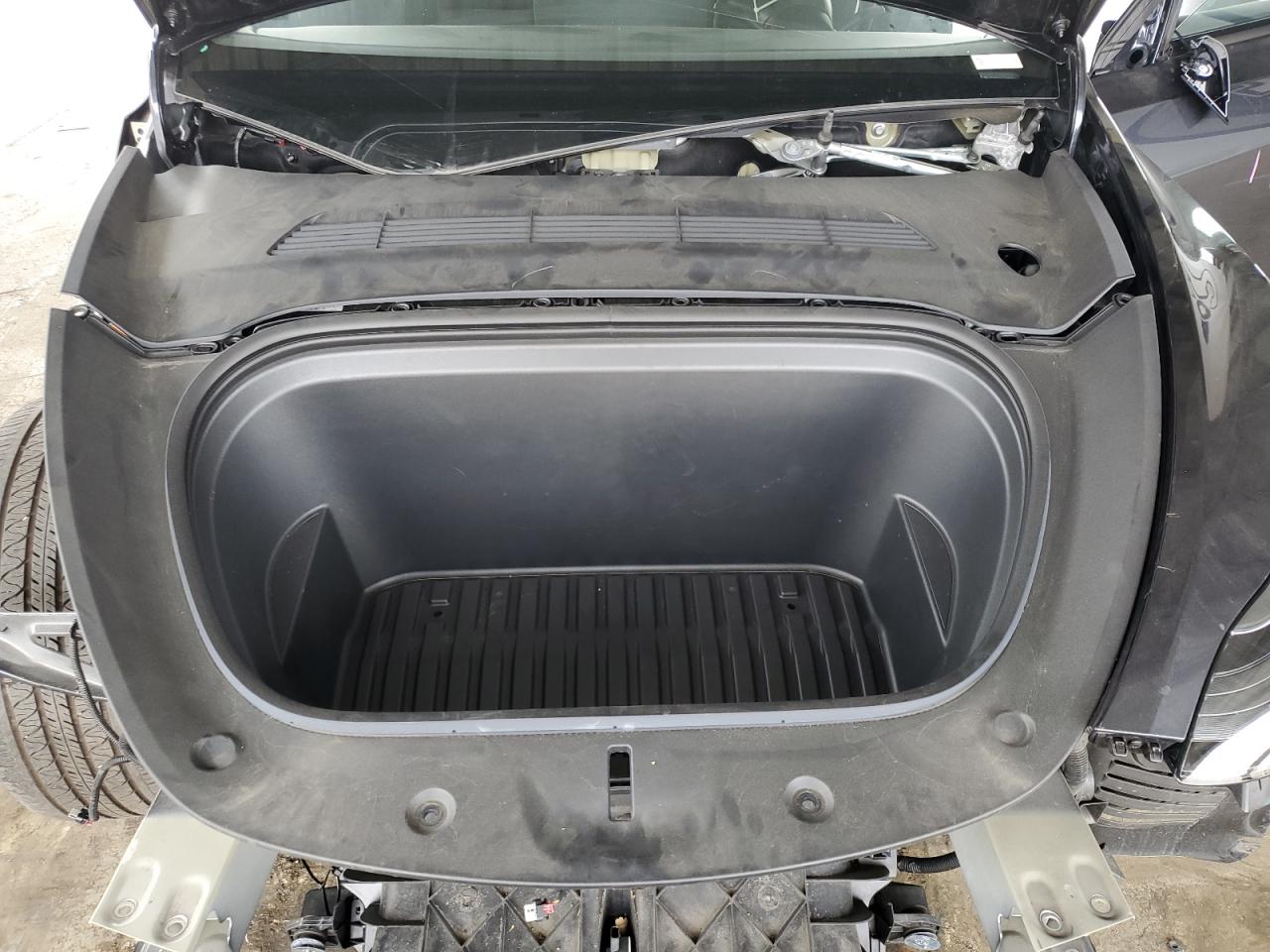 2024 Tesla Model Y VIN: 7SAYGAEE7RF129041 Lot: 82703015