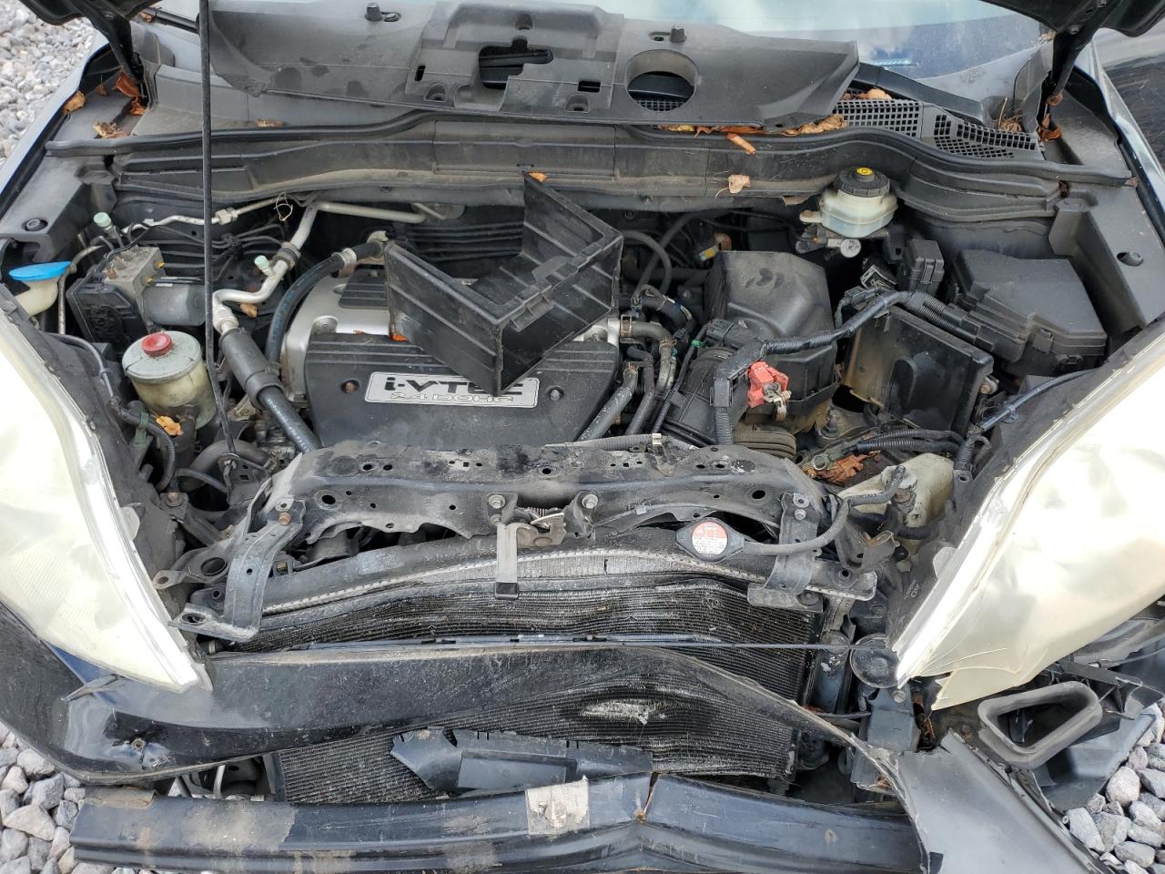 2007 Honda Cr-V Exl VIN: JHLRE48747C113849 Lot: 81915125