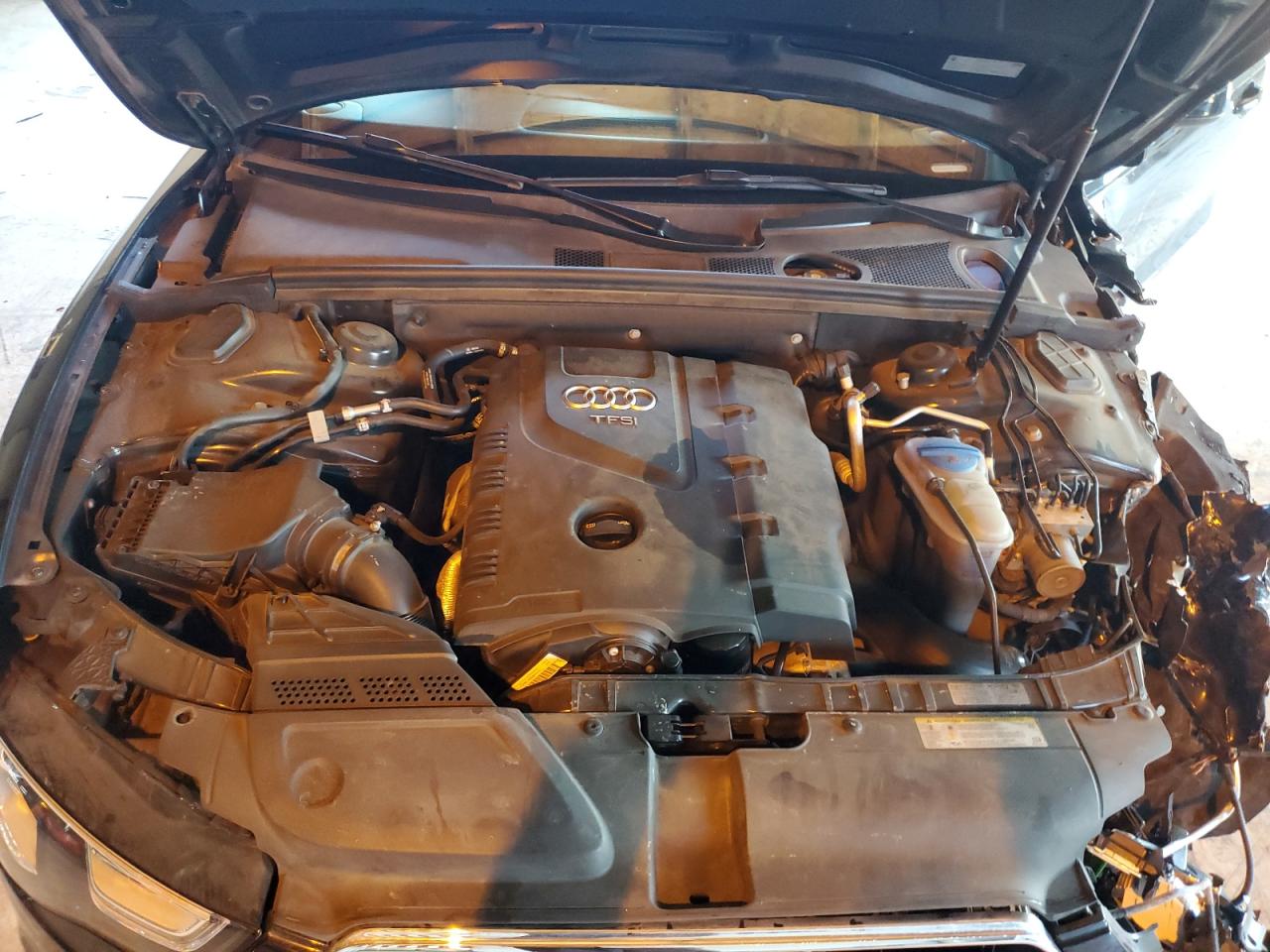 2014 Audi A5 Premium Plus VIN: WAULFAFR1EA023986 Lot: 82543895