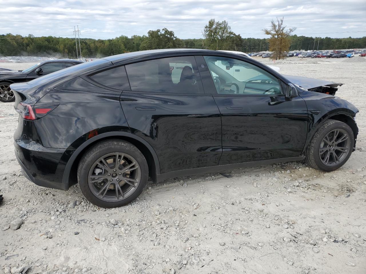 2025 Tesla Model Y VIN: 7SAYGDED0SA365266 Lot: 86312065