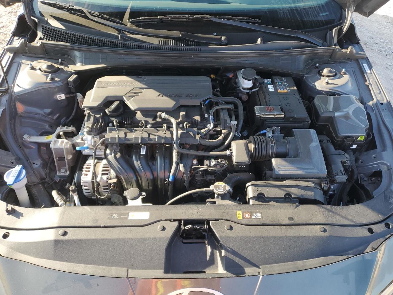 Elantra Elantra