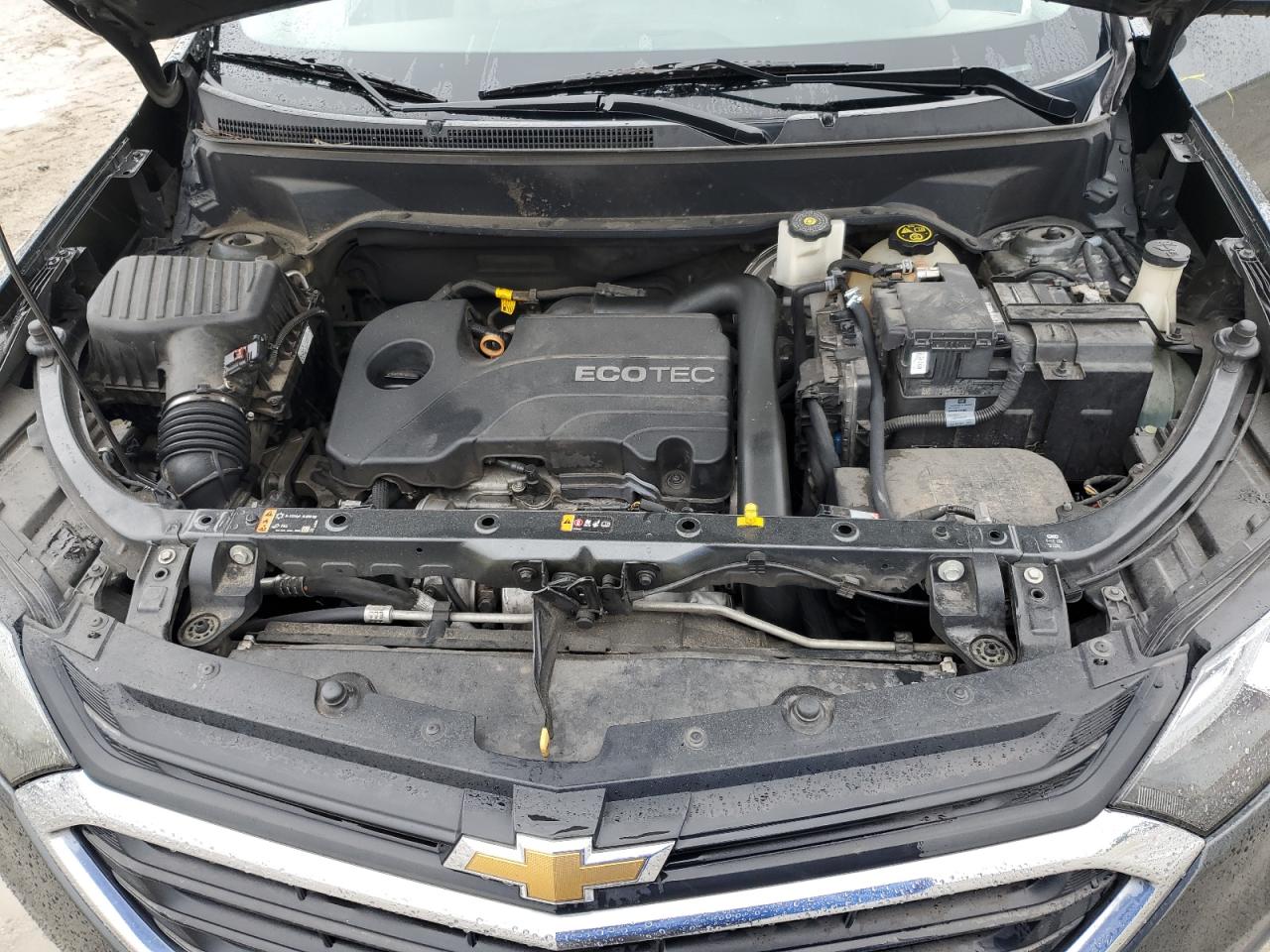 2019 Chevrolet Equinox Ls VIN: 2GNAXHEV4K6199221 Lot: 85055955