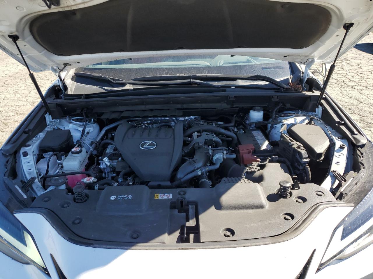 2022 Lexus Nx 350 VIN: JTJKGCEZ0N5002822 Lot: 85373005