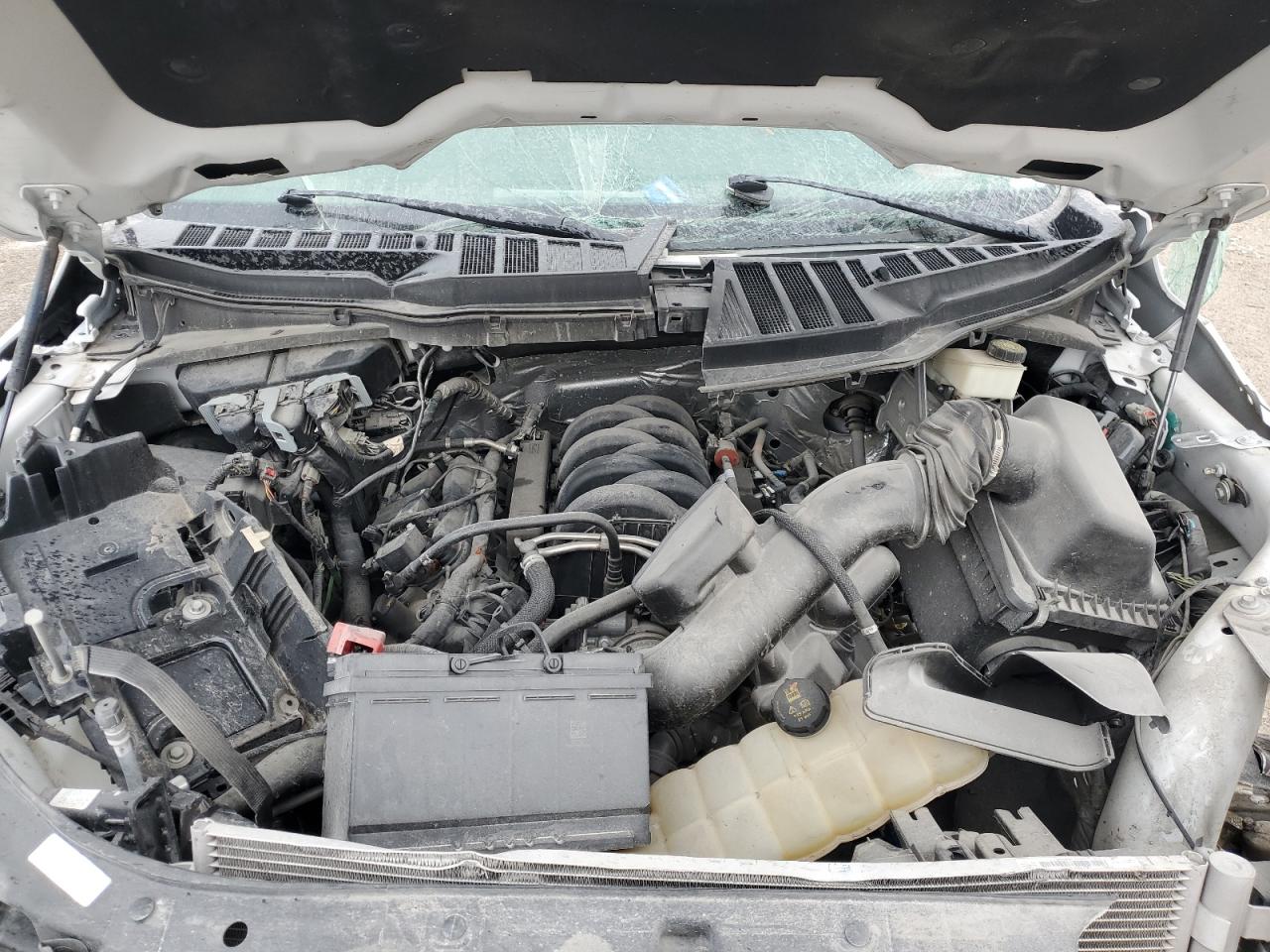 2022 Ford F150 Supercrew VIN: 1FTFW1E54NKE44156 Lot: 90494675