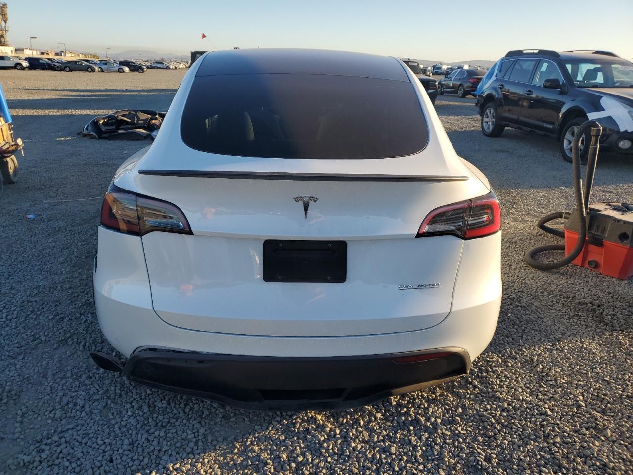 2023 Tesla Model Y VIN: 7SAYGDEF4PF964926 Lot: 84703235