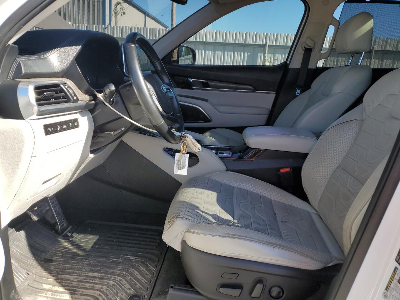 2020 Kia Telluride Sx VIN: 5XYP5DHC1LG087122 Lot: 87021885