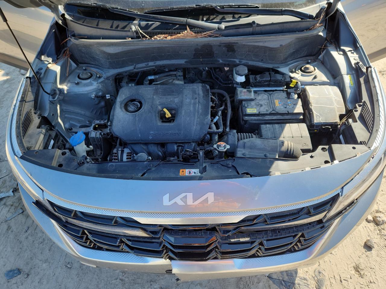 2024 Kia Seltos Ex VIN: KNDER2AA1R7483890 Lot: 89621005