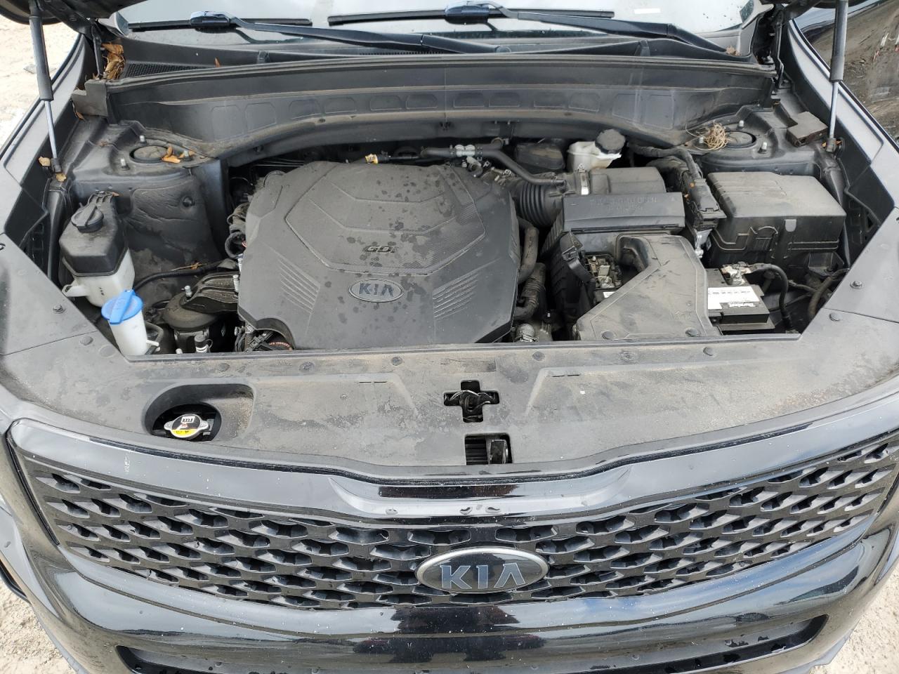 2021 Kia Telluride Lx VIN: 5XYP24HC5MG099946 Lot: 84894215