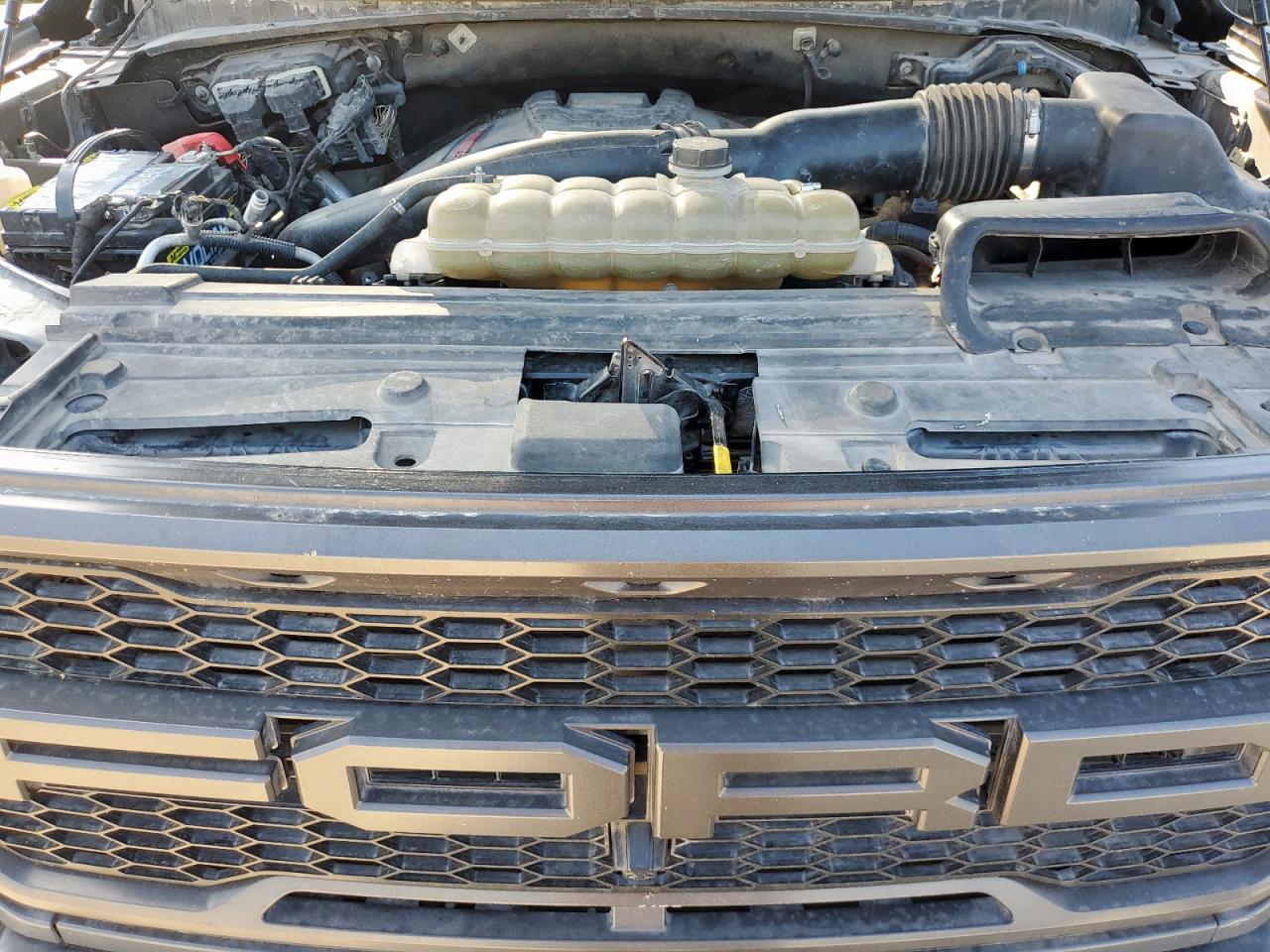 2020 Ford F150 Raptor VIN: 1FTFW1RG1LFA15266 Lot: 84653905