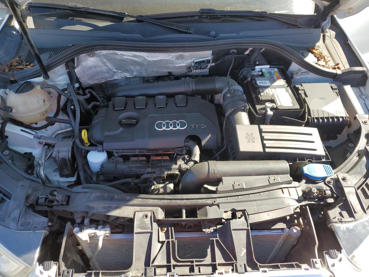 2015 Audi Q3 Premium Plus VIN: WA1EFCFS8FR002317 Lot: 82366715