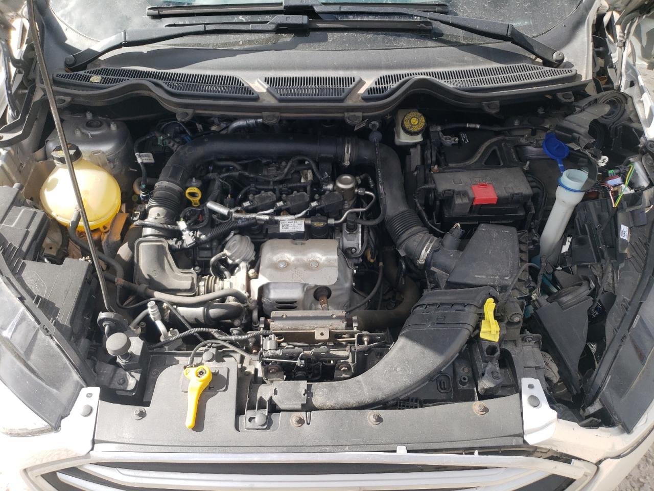 2019 Ford Ecosport Se VIN: MAJ3S2GE0KC267800 Lot: 86797265