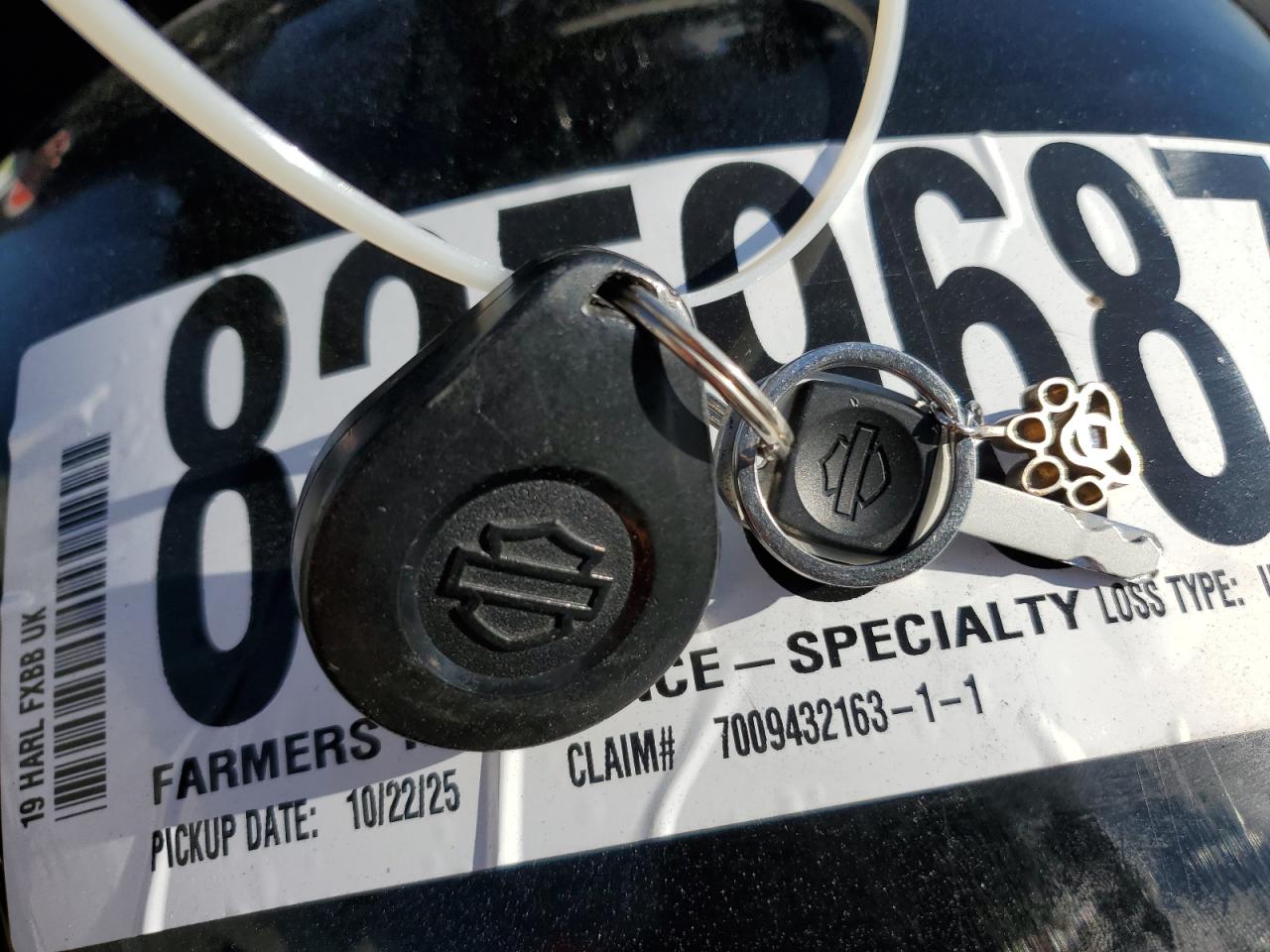 2019 Harley-Davidson Fxbb VIN: 1HD1YJJ69KB065408 Lot: 82596875