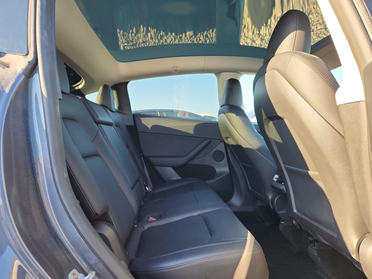 2023 Tesla Model Y VIN: 7SAYGDEE1PF921233 Lot: 85536755