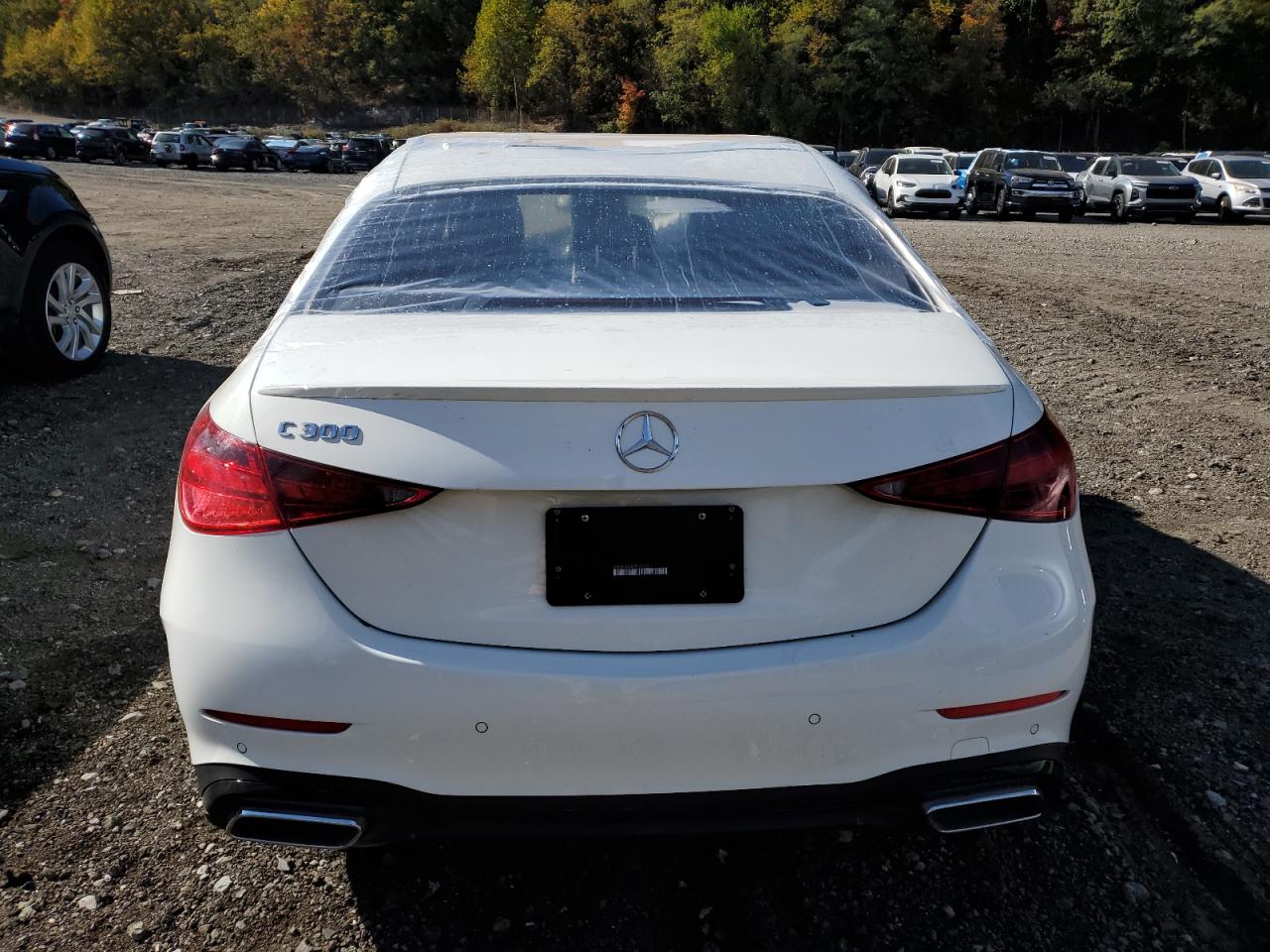 2024 Mercedes-Benz C 300 VIN: W1KAF4GB8RR226237 Lot: 87274735
