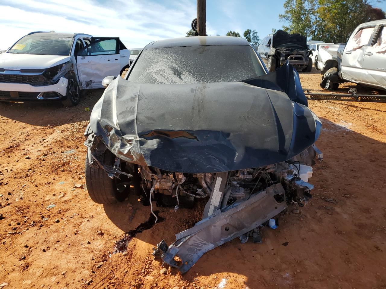 Фото: WVWDR7AN1LE013535