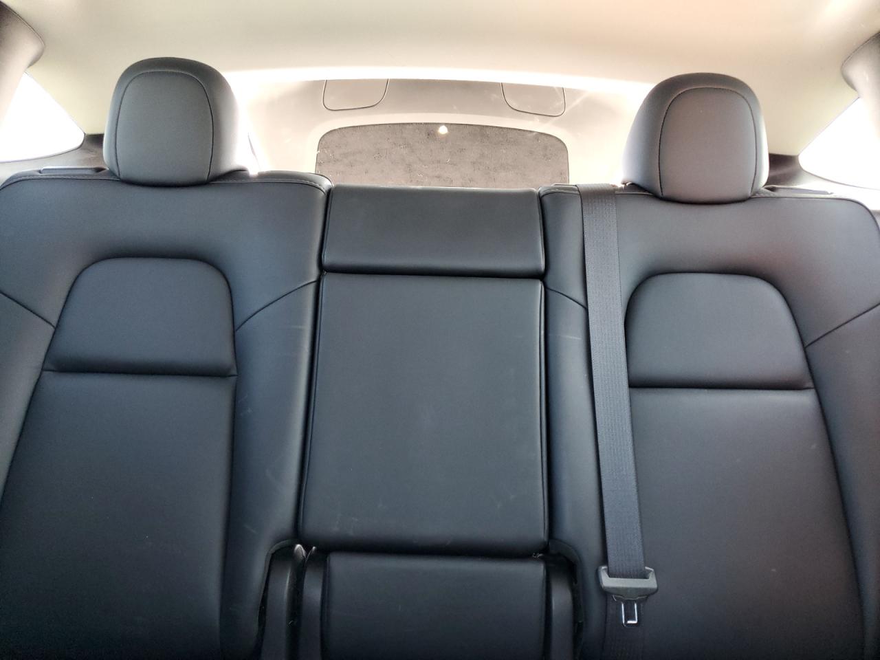 2023 Tesla Model Y VIN: 7SAYGDEE6PF850627 Lot: 82781205