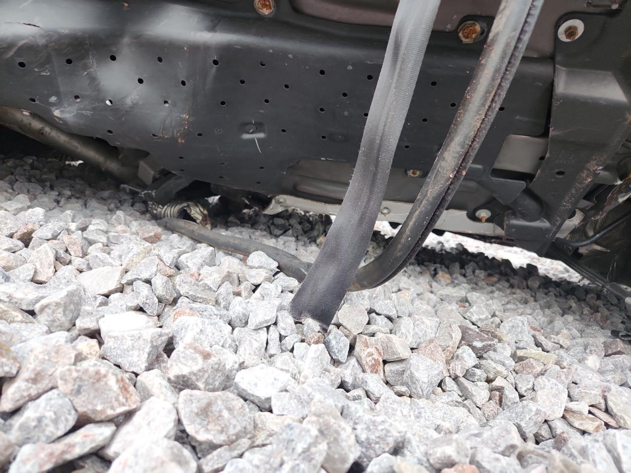 2020 Ford Mustang VIN: 1FA6P8TH8L5124052 Lot: 81966755