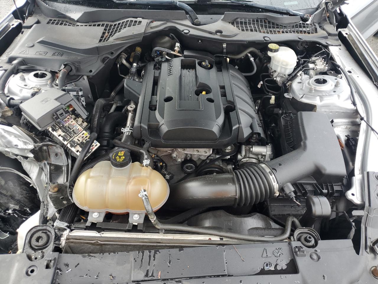 2020 Ford Mustang VIN: 1FA6P8TH0L5120416 Lot: 82520945