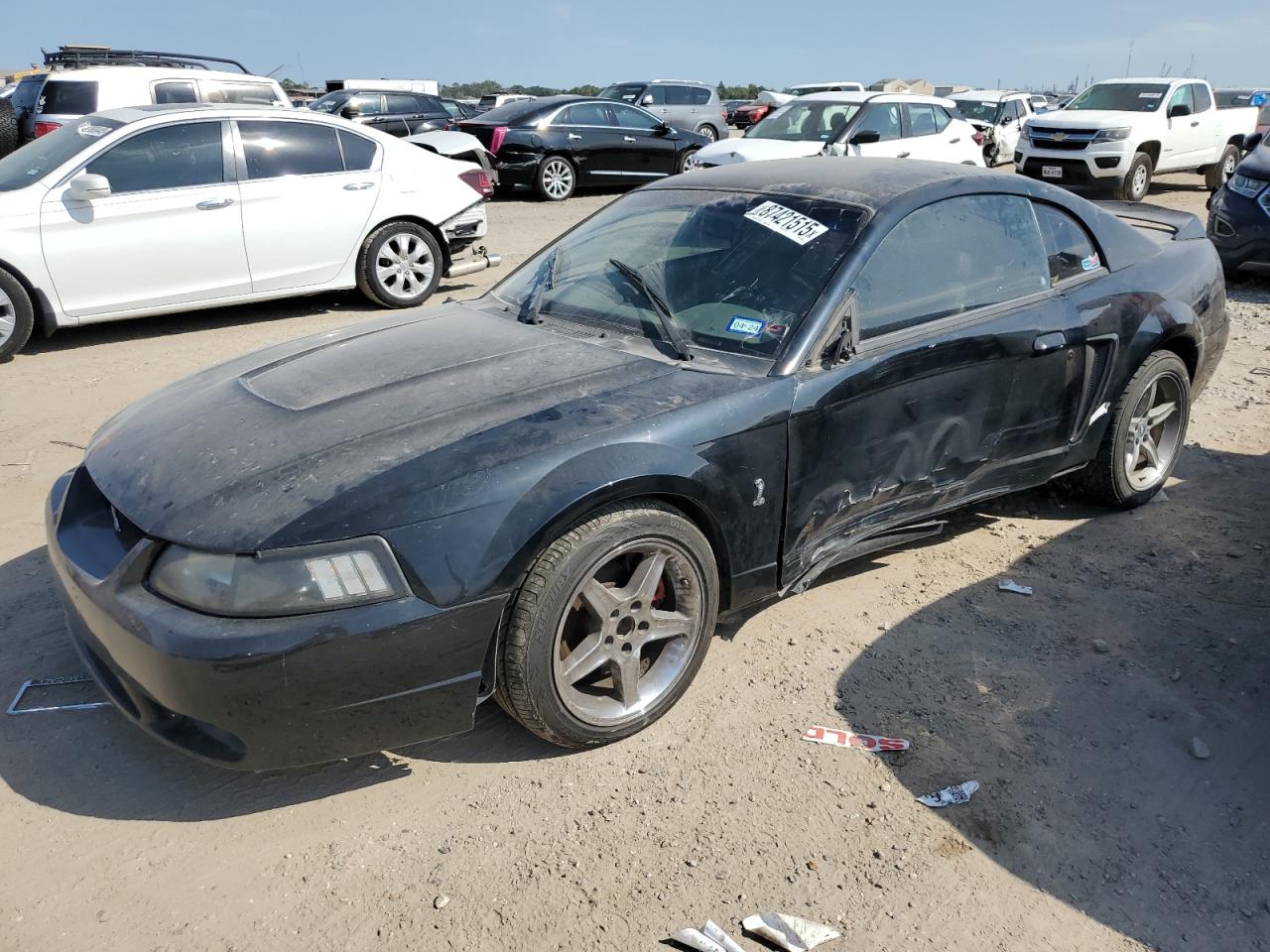 1999 Ford Mustang Cobra Svt