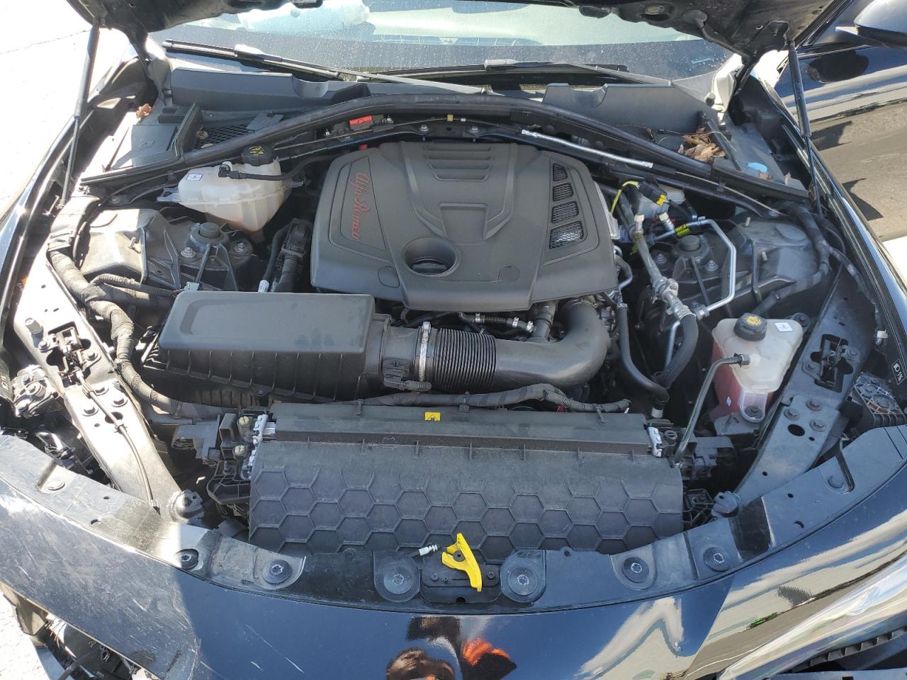 2020 Alfa Romeo Giulia VIN: ZARFAMAN1L7636422 Lot: 82240515