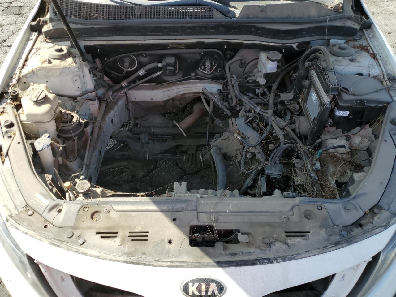 2015 Kia Optima Lx VIN: KNAGM4A73F5605337 Lot: 85739755