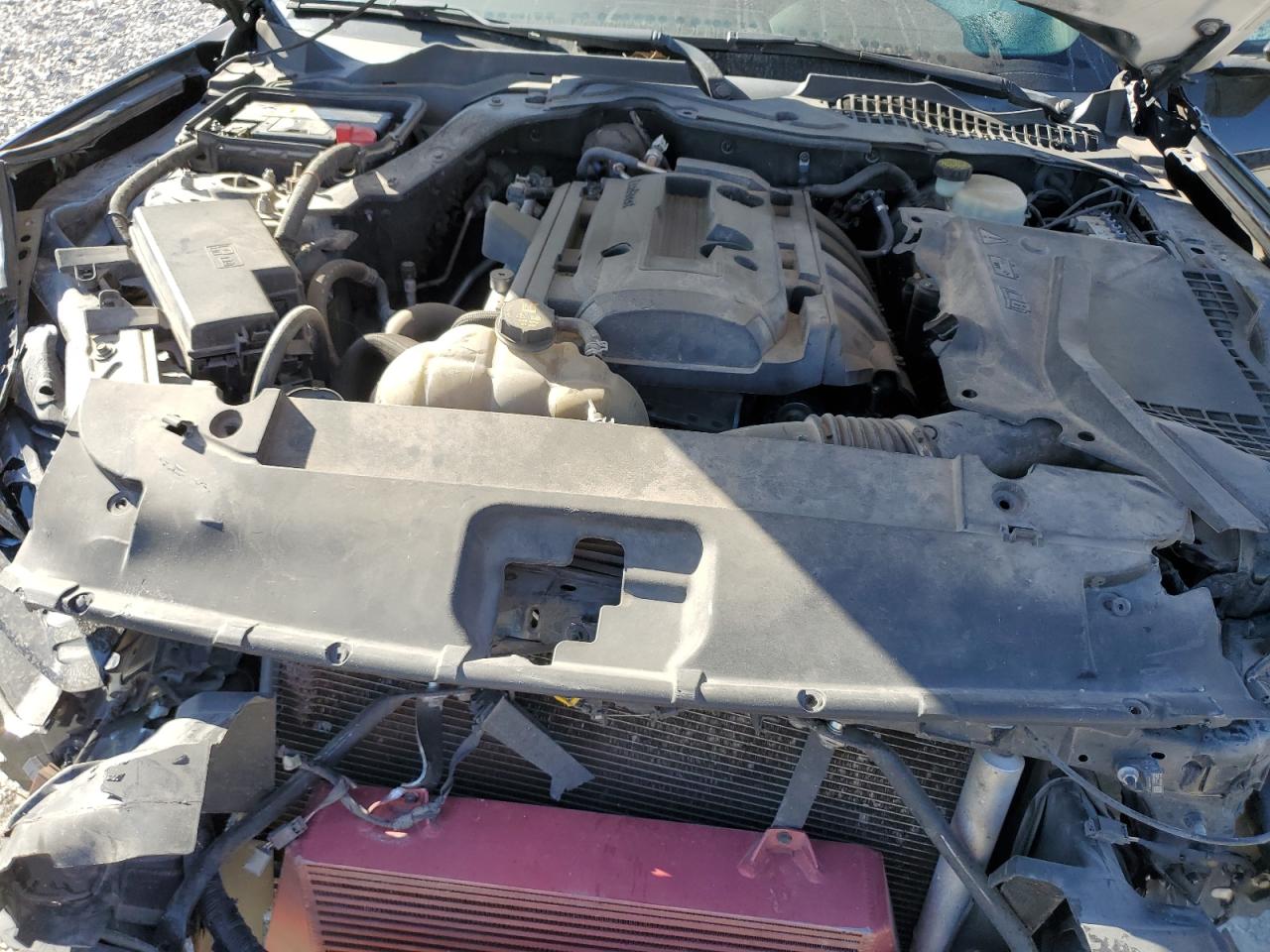 2017 Ford Mustang VIN: 1FA6P8TH6H5281845 Lot: 84070955