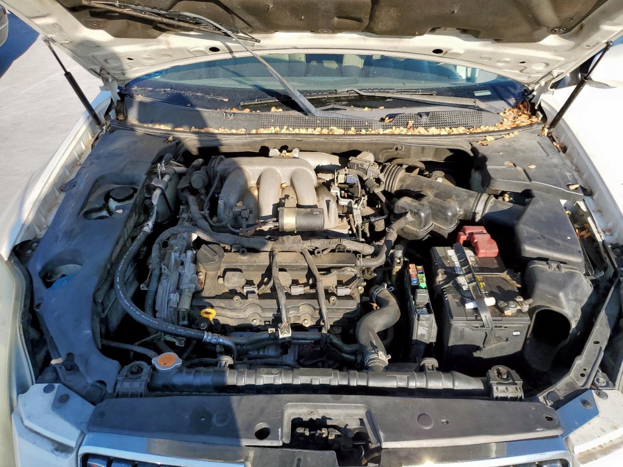 2006 Nissan Maxima Se VIN: 1N4BA41E56C837198 Lot: 85493685